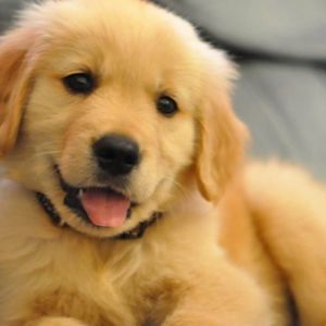 Meet your Posher, Marc